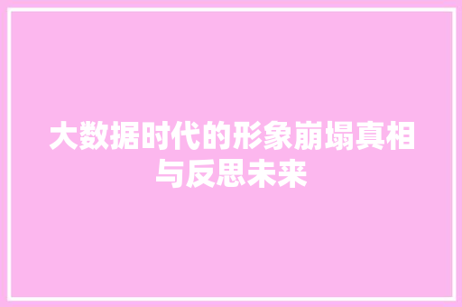 大数据时代的形象崩塌真相与反思未来