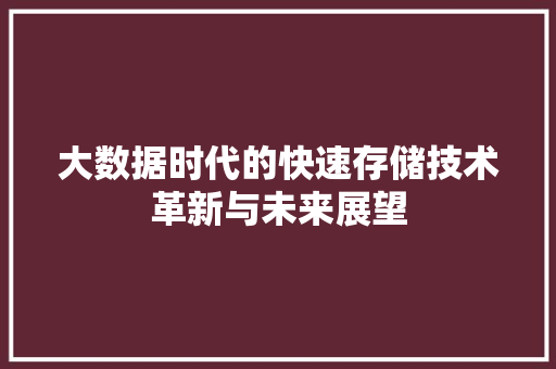 大数据时代的快速存储技术革新与未来展望