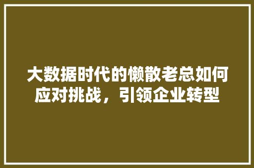 大数据时代的懒散老总如何应对挑战，引领企业转型