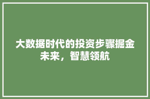 大数据时代的投资步骤掘金未来，智慧领航