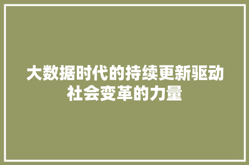 大数据时代的持续更新驱动社会变革的力量