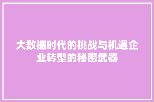 大数据时代的挑战与机遇企业转型的秘密武器