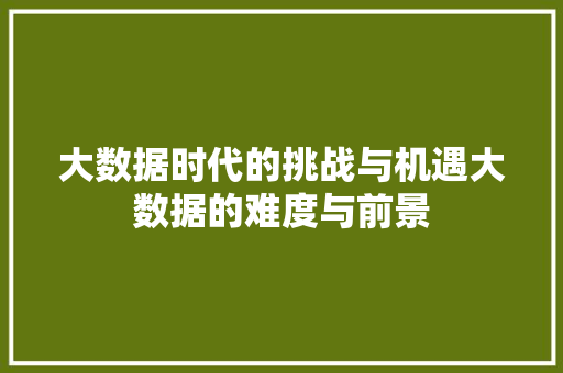 大数据时代的挑战与机遇大数据的难度与前景