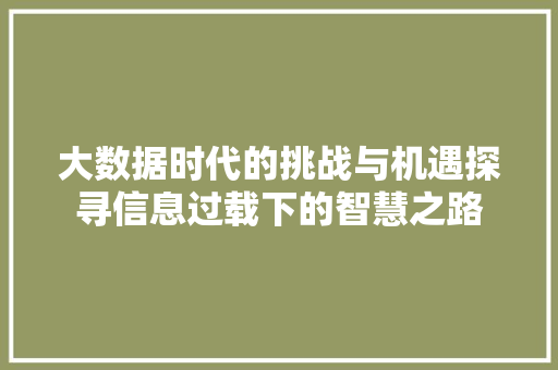 大数据时代的挑战与机遇探寻信息过载下的智慧之路
