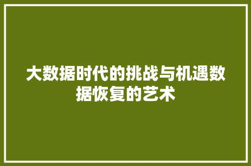 大数据时代的挑战与机遇数据恢复的艺术