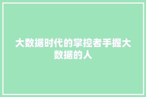 大数据时代的掌控者手握大数据的人