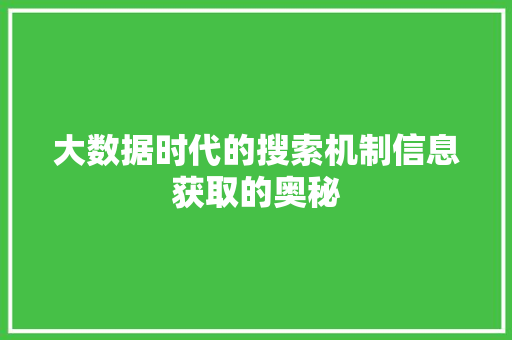 大数据时代的搜索机制信息获取的奥秘