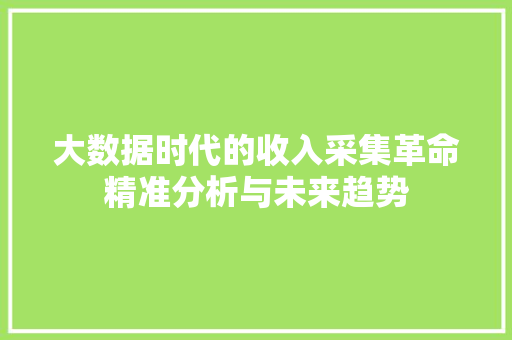大数据时代的收入采集革命精准分析与未来趋势