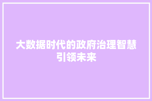 大数据时代的政府治理智慧引领未来