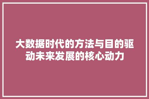 大数据时代的方法与目的驱动未来发展的核心动力