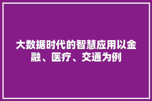 大数据时代的智慧应用以金融、医疗、交通为例