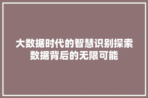 大数据时代的智慧识别探索数据背后的无限可能