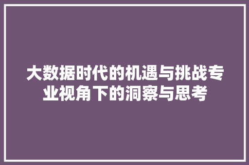大数据时代的机遇与挑战专业视角下的洞察与思考 编程语言