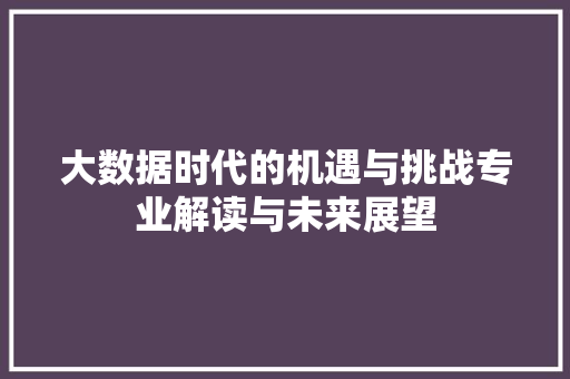 大数据时代的机遇与挑战专业解读与未来展望 电脑基础