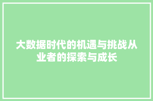 大数据时代的机遇与挑战从业者的探索与成长