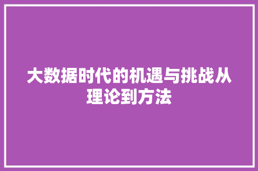 大数据时代的机遇与挑战从理论到方法 电脑基础