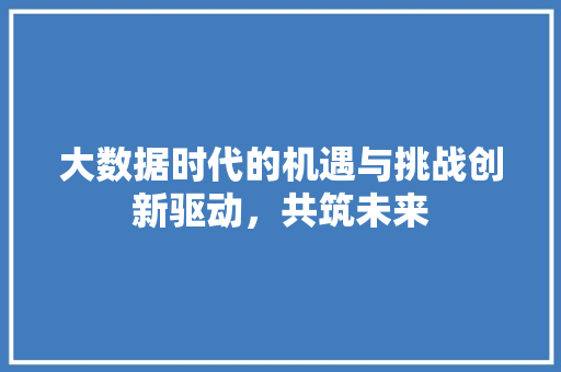 大数据时代的机遇与挑战创新驱动，共筑未来
