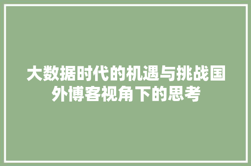 大数据时代的机遇与挑战国外博客视角下的思考 电脑故障维修