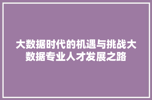 大数据时代的机遇与挑战大数据专业人才发展之路 编程语言