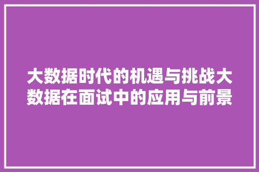 大数据时代的机遇与挑战大数据在面试中的应用与前景