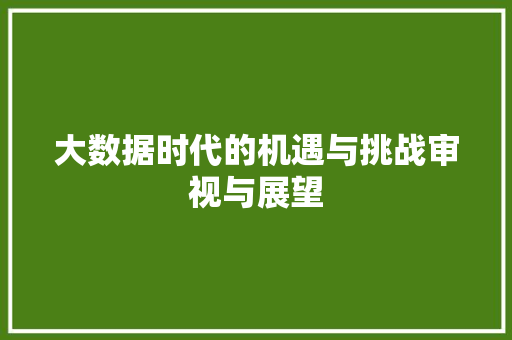 大数据时代的机遇与挑战审视与展望 编程语言 大数据时代的机遇与挑战审视与展望 编程语言