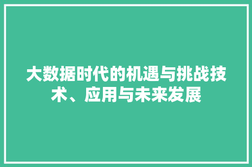 大数据时代的机遇与挑战技术、应用与未来发展 电脑基础