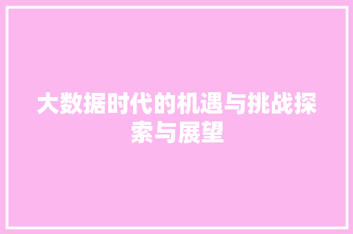 大数据时代的机遇与挑战探索与展望 电脑基础
