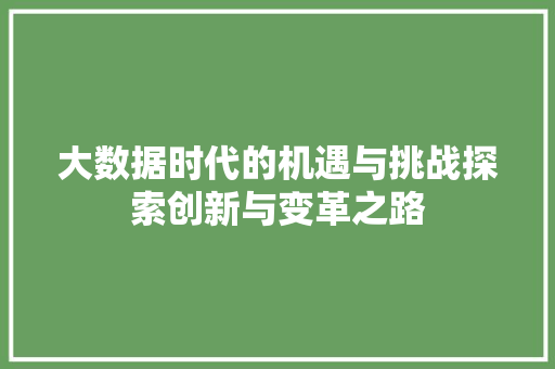 大数据时代的机遇与挑战探索创新与变革之路 编程语言