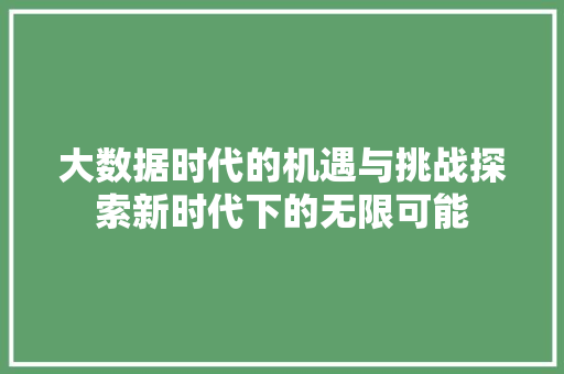大数据时代的机遇与挑战探索新时代下的无限可能