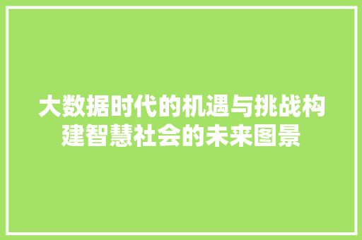 大数据时代的机遇与挑战构建智慧社会的未来图景 编程语言