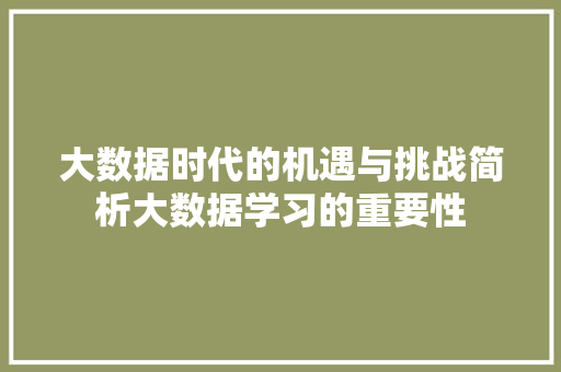 大数据时代的机遇与挑战简析大数据学习的重要性
