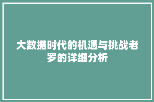 大数据时代的机遇与挑战老罗的详细分析 电脑故障维修
