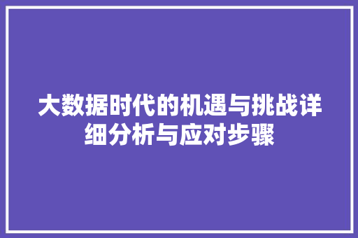 大数据时代的机遇与挑战详细分析与应对步骤 电脑配置
