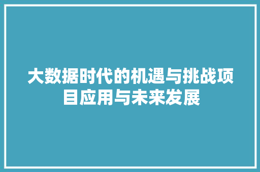 大数据时代的机遇与挑战项目应用与未来发展 编程语言
