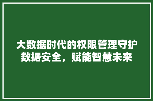 大数据时代的权限管理守护数据安全，赋能智慧未来