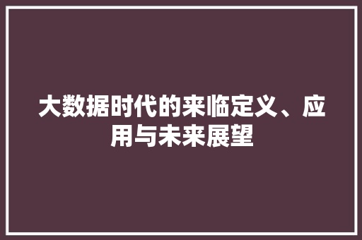 大数据时代的来临定义、应用与未来展望