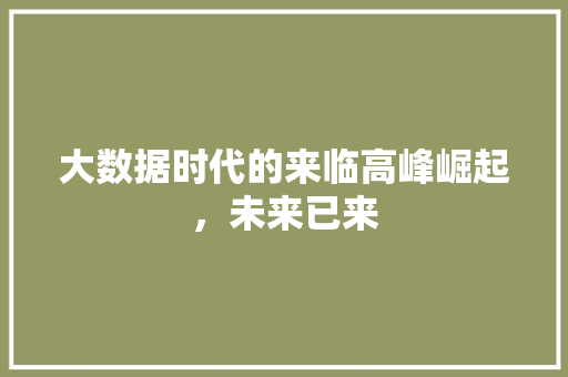 大数据时代的来临高峰崛起，未来已来