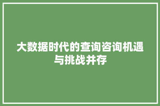大数据时代的查询咨询机遇与挑战并存
