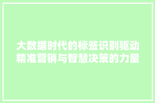 大数据时代的标签识别驱动精准营销与智慧决策的力量 电脑基础 大数据时代的标签识别驱动精准营销与智慧决策的力量 电脑基础