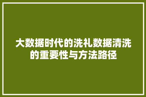 大数据时代的洗礼数据清洗的重要性与方法路径 编程语言