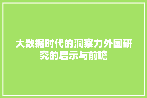 大数据时代的洞察力外国研究的启示与前瞻