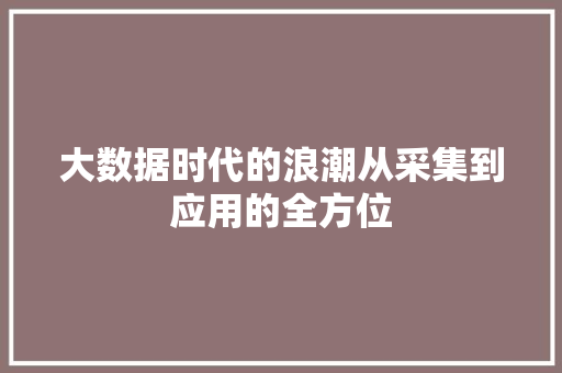 大数据时代的浪潮从采集到应用的全方位