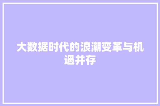大数据时代的浪潮变革与机遇并存