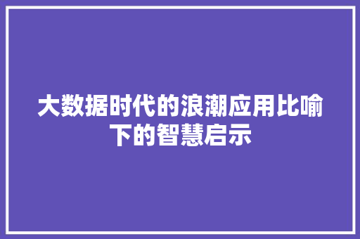 大数据时代的浪潮应用比喻下的智慧启示