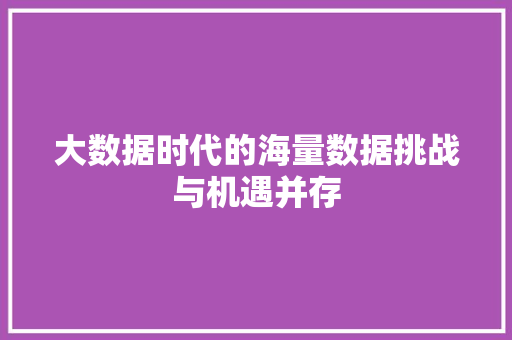 大数据时代的海量数据挑战与机遇并存