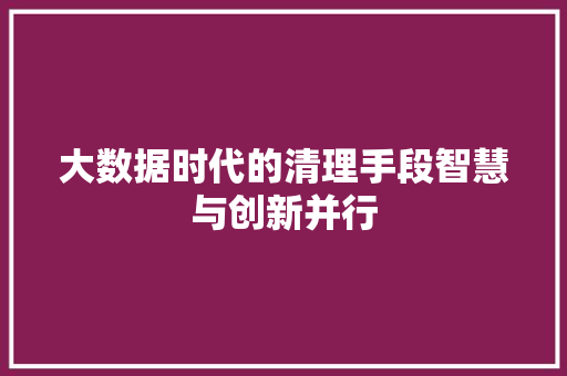 大数据时代的清理手段智慧与创新并行
