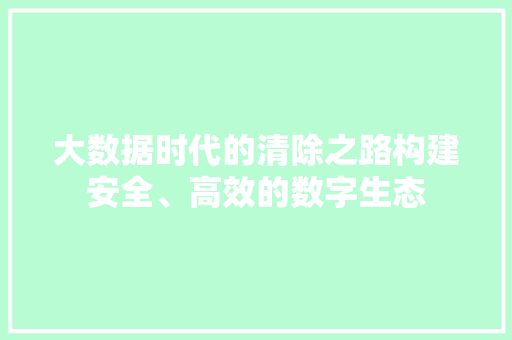 大数据时代的清除之路构建安全、高效的数字生态 网络技术