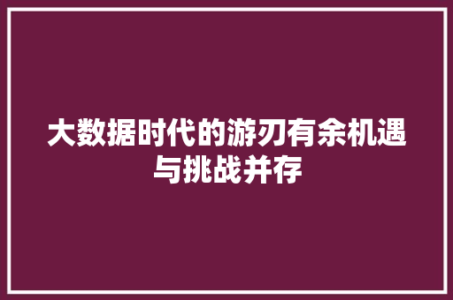 大数据时代的游刃有余机遇与挑战并存