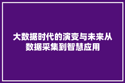 大数据时代的演变与未来从数据采集到智慧应用