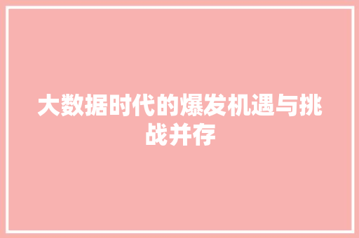 大数据时代的爆发机遇与挑战并存